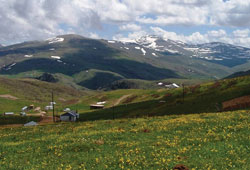 Samsun'da ahır yangınları