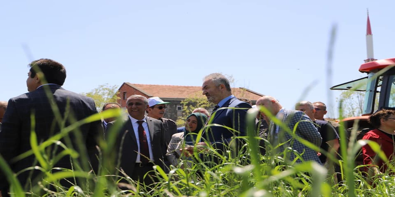 Yem bitkileri tarla günü etkinliği yapıldı