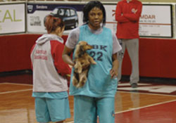 Adeola hırslı çalışıyor