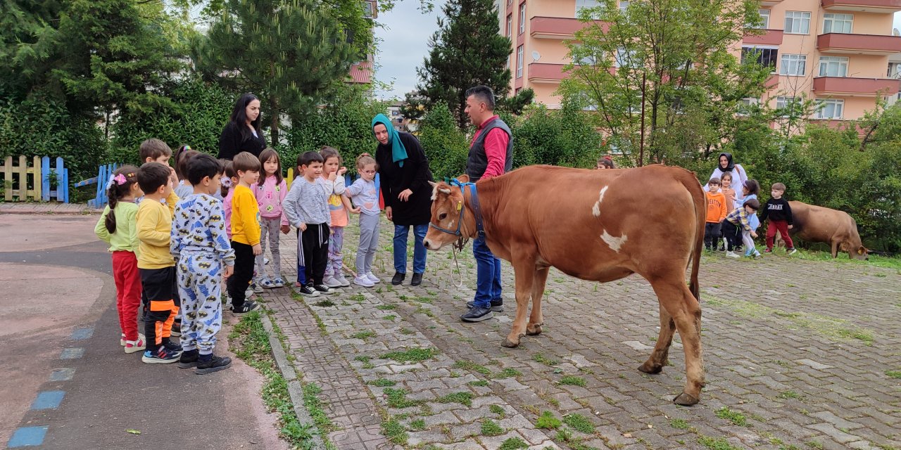 Çocuklara süt içme alışkanlığı kazandırmak için etkinlik