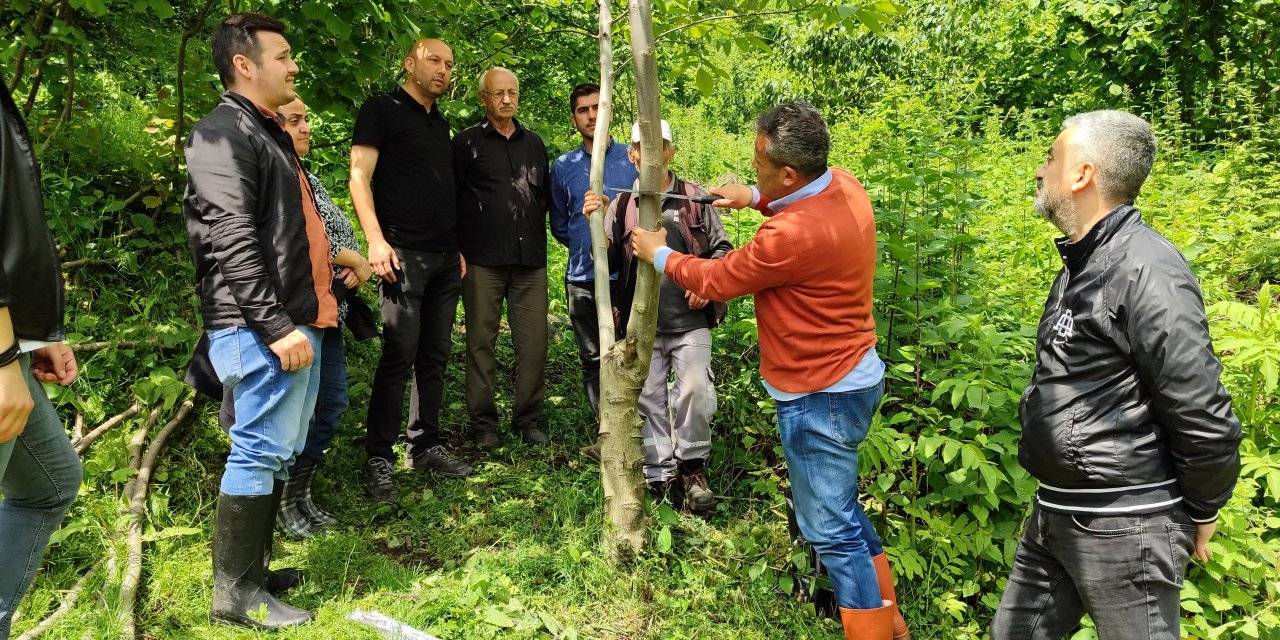 Örnek aşılama çalışması anlatıldı