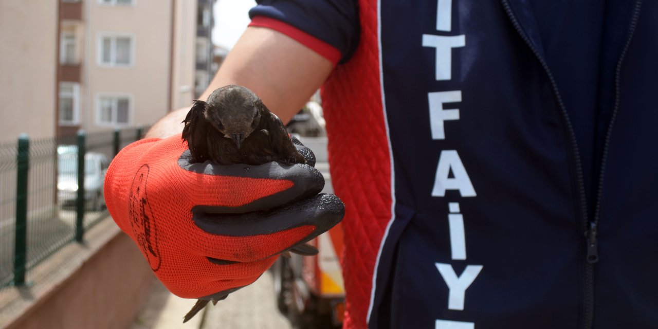 Mahsur kalan ebabil itfaiye ekiplerince kurtarıldı