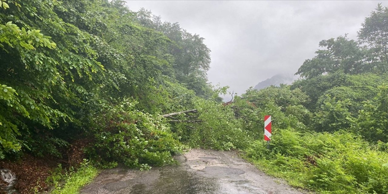 Mahalle yolu trafiğe kapatıldı