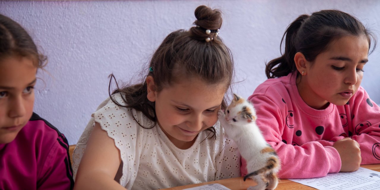 Doğum yapan kedi ile yavrularına öğrenciler sahip çıktı