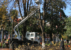 Anıt Parkta çevre düzenlemesi