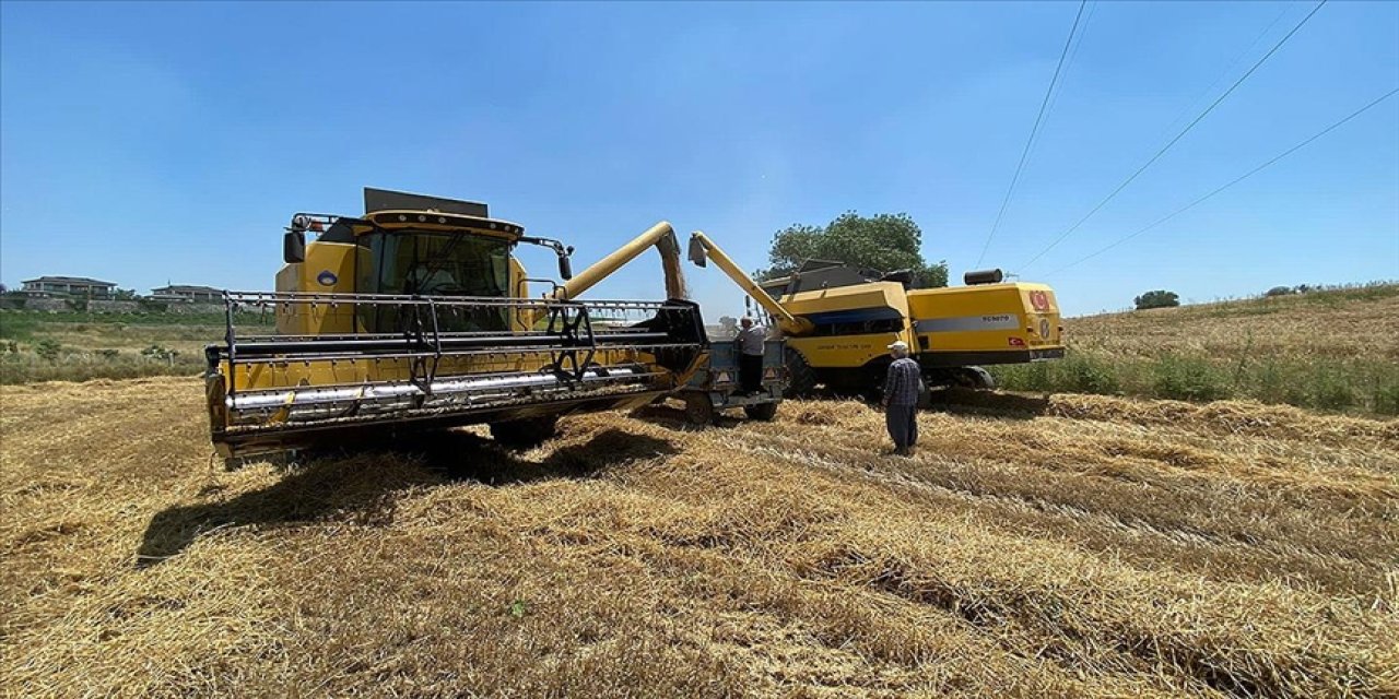 Hububat alımı 530 noktadan yapılacak