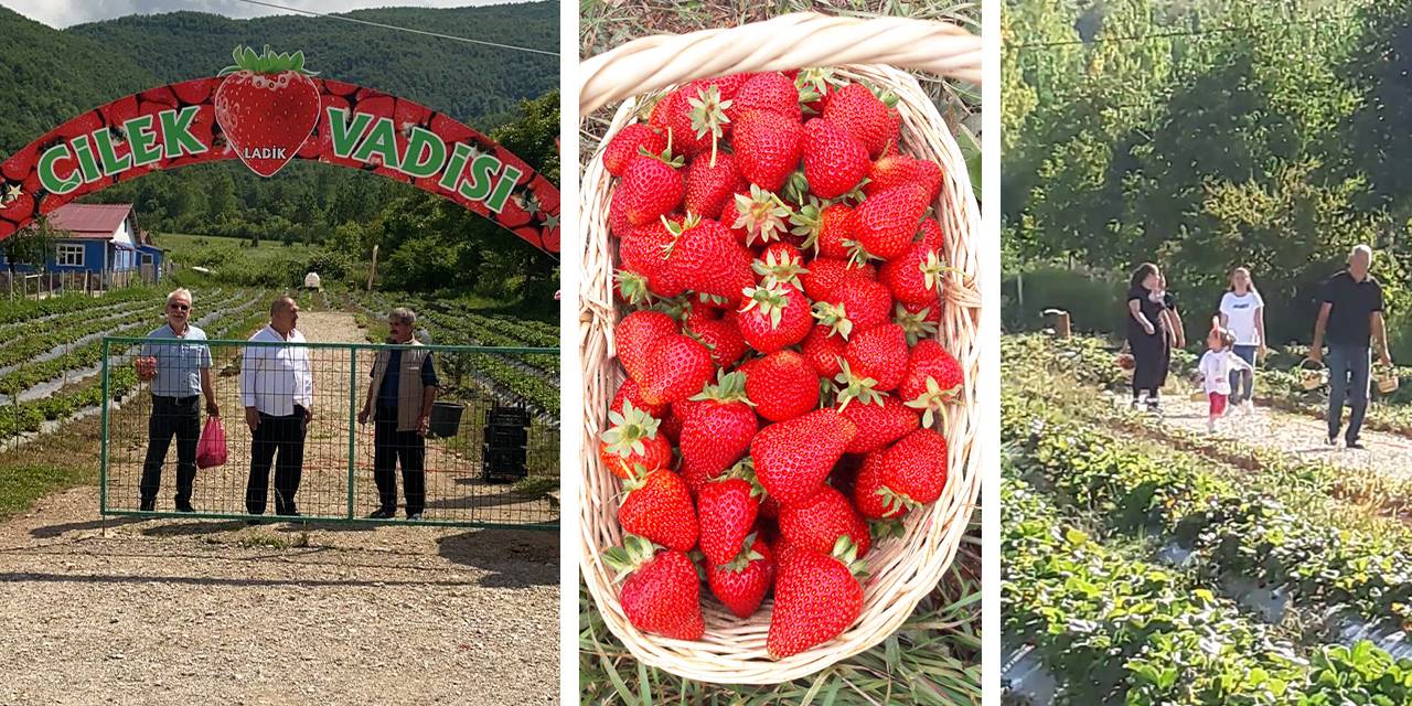 Ladik Çilek Vadisi doğa ile kucaklaşma fırsatı sunuyor