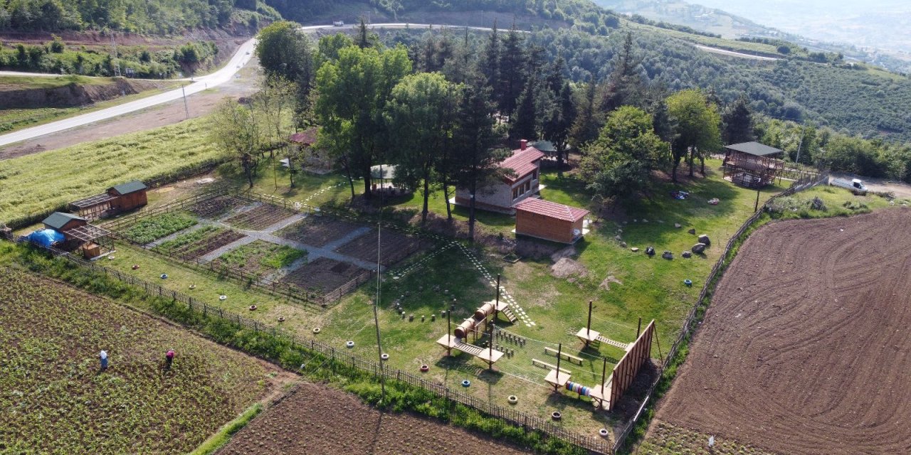 Orman Okulu projesi takdir topluyor