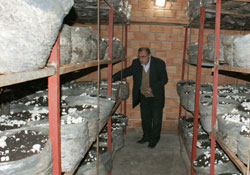 Üreticiler birlik kuruyor