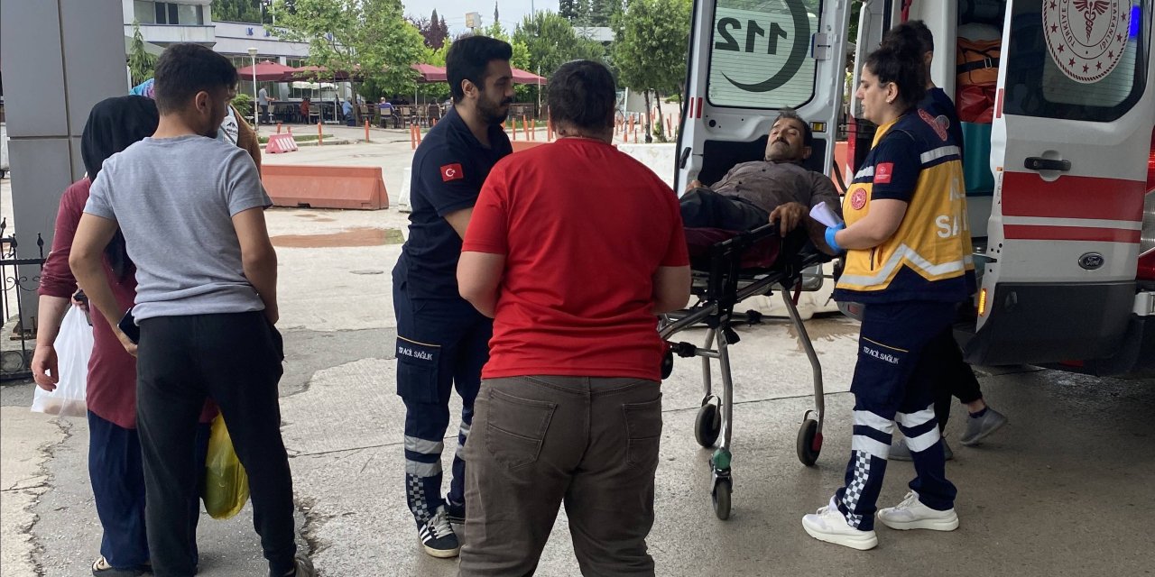 Samsun'da acemi kasaplar hastanelik oldu