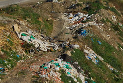 Yasaya uyan da yok ceza kesende