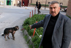 Kuduz köpek, korku saldı