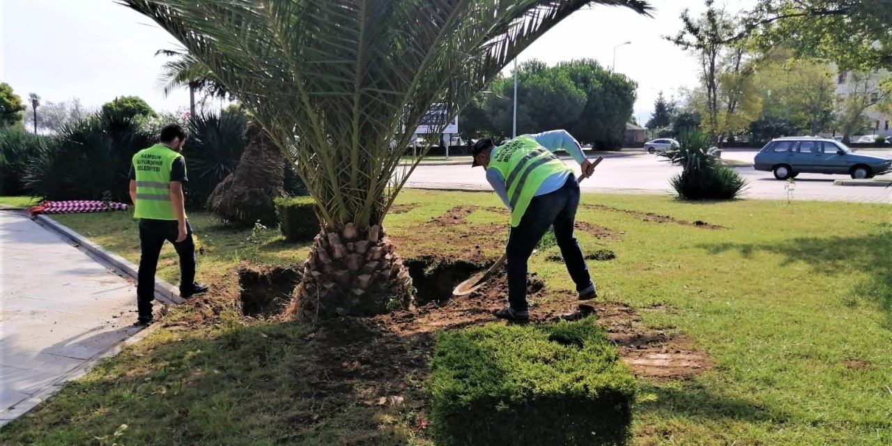 Daha yeşil Samsun için yoğun mesai