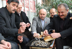 MHP'lilerin Hamsi Partisi