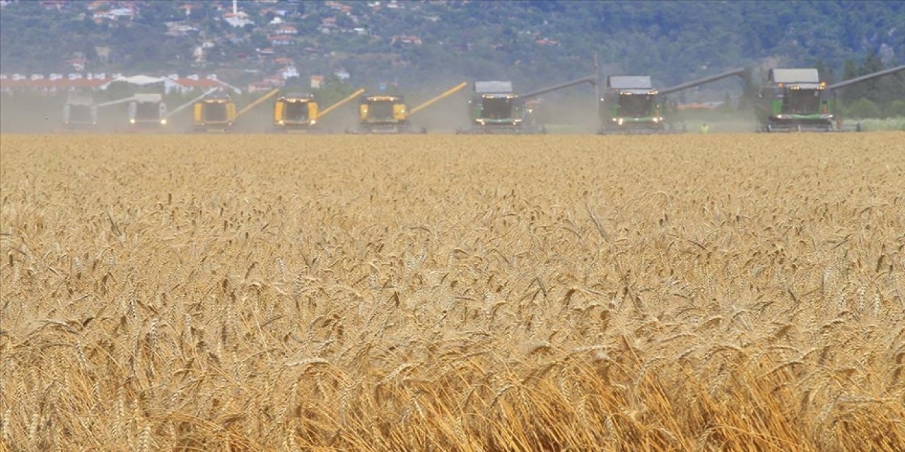 En fazla ödeme "dolu" hasarlarına yapıldı