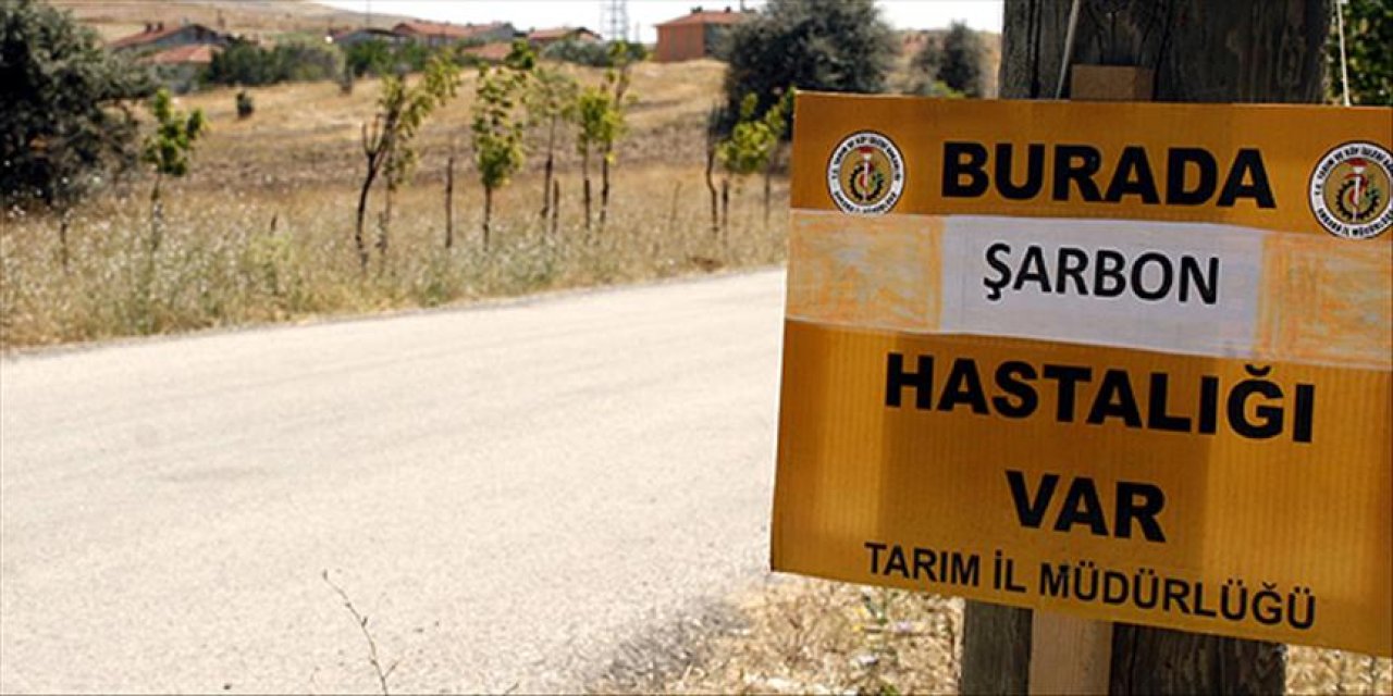 Şarbon karantinası kaldırıldı
