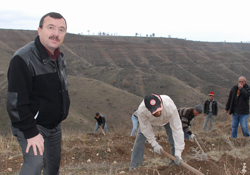 8 milyon fidan dikilecek