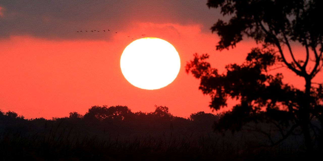 Kızılırmak Deltası Kuş Cenneti'nde güneş doğuşu