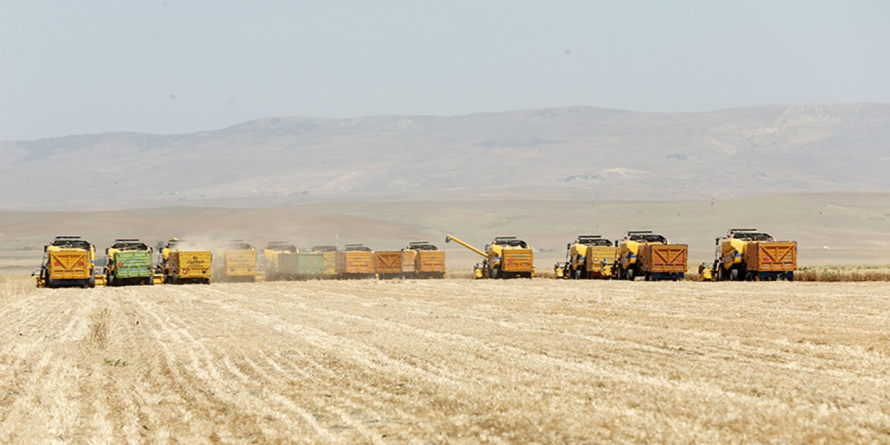 Hububat hasadı başladı