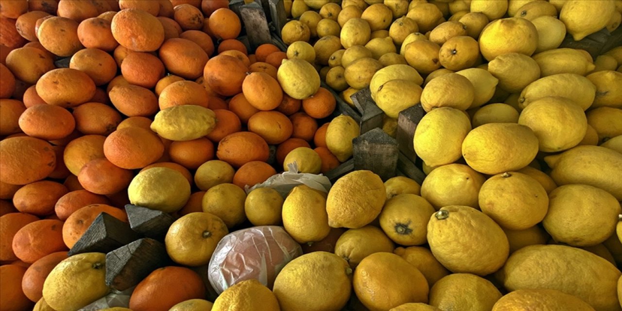 Yılın ilk yarısında turunçgil ihracatını sırtladı