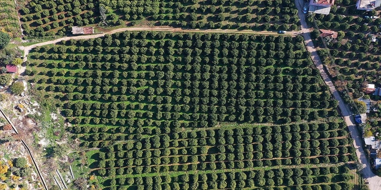 Yeni teknolojiler kullanılmaya başlandı