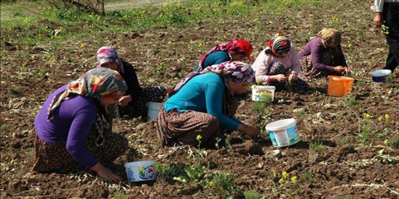 Kadın istihdamı odaklı çalışma yürütülecek