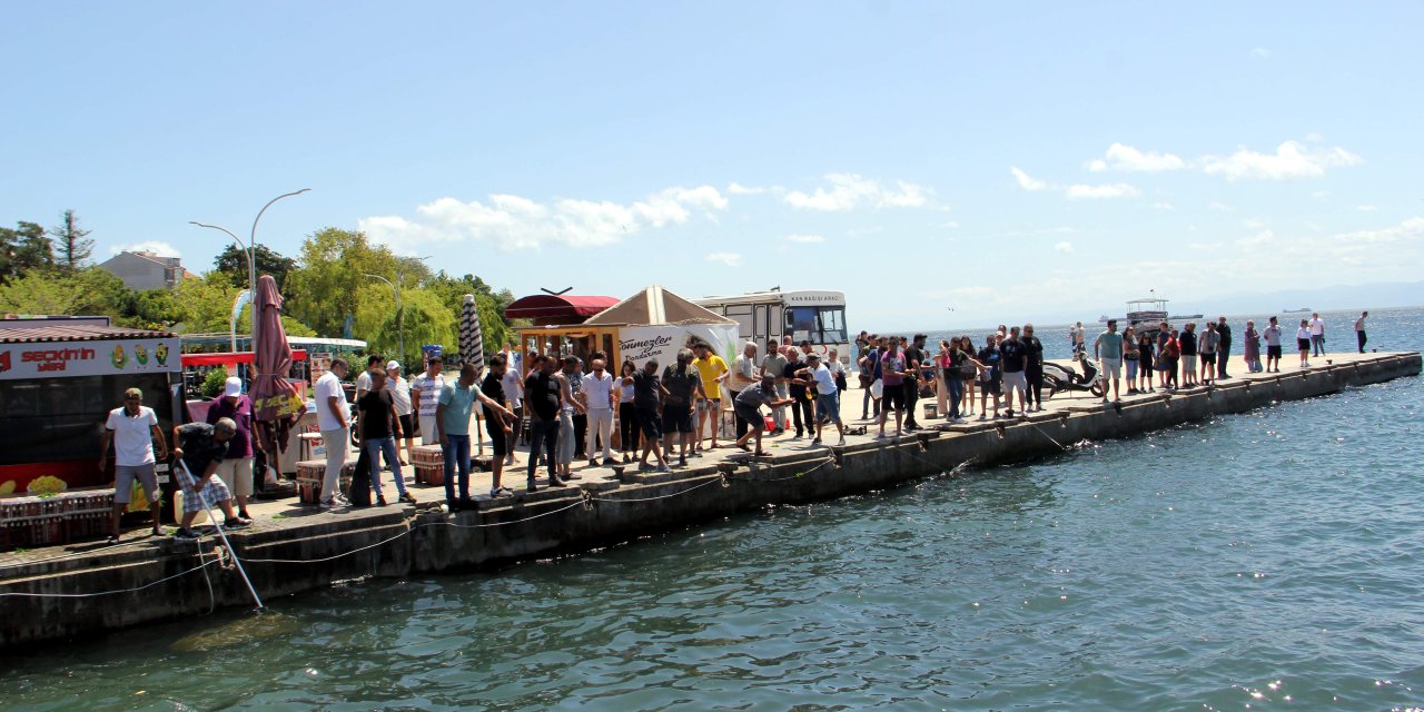 Şoka giren tonlarca balık kıyıya vurdu