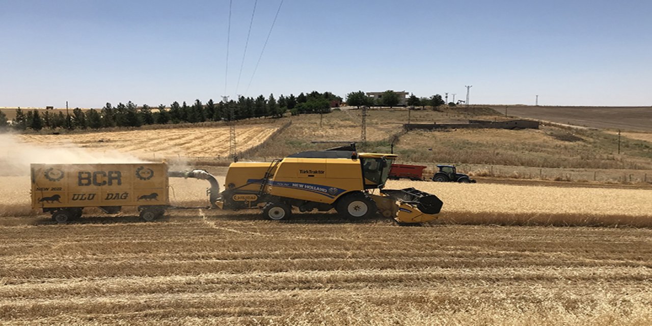 Buğday verimi yüzde 23 arttı