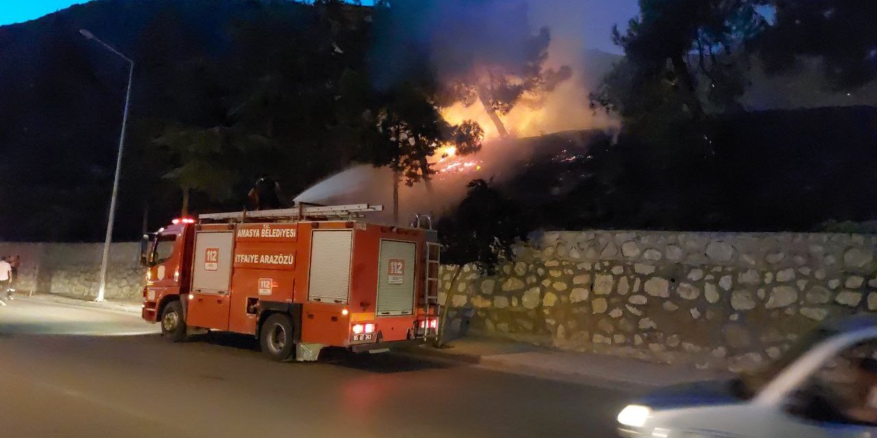 Çıkan orman yangını söndürüldü