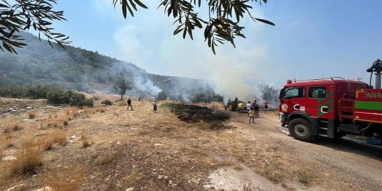 Zeytinlik alanda çıkan yangın söndürüldü