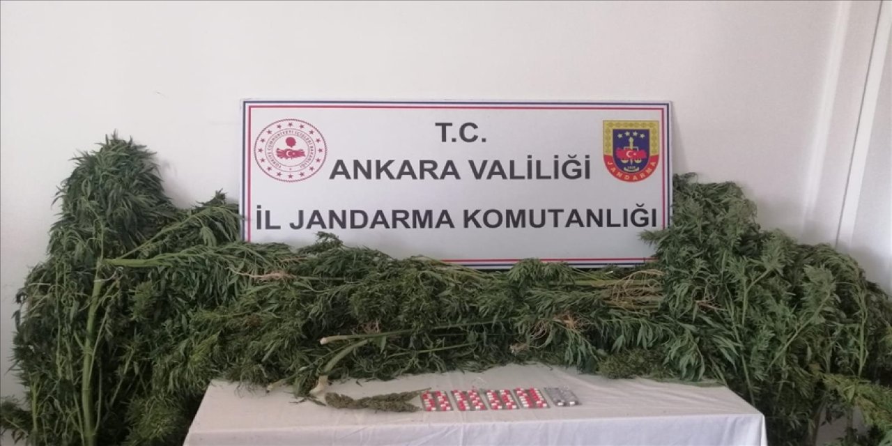 Jandarma ekipleri uyuşturucu operasyonu düzenledi