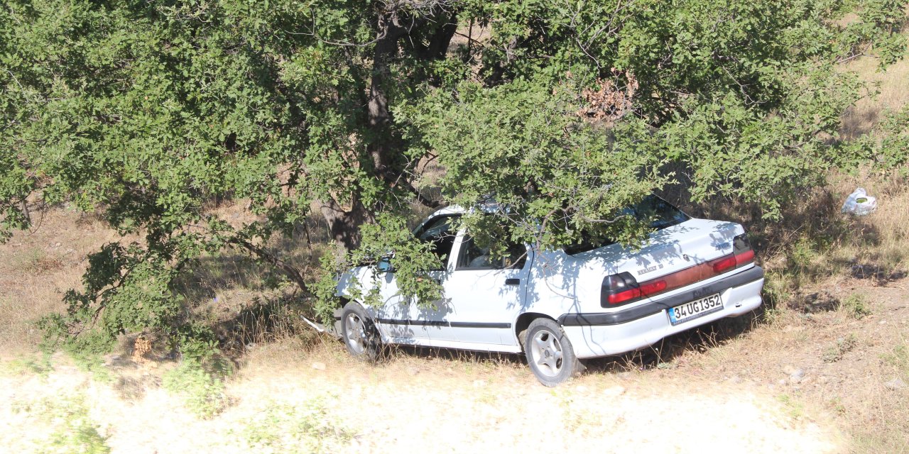 Tarlaya uçan otomobilin sürücüsü yaralandı