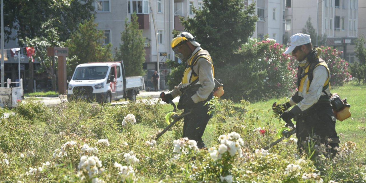 Çalışmalar kasım ayına dek devam edecek