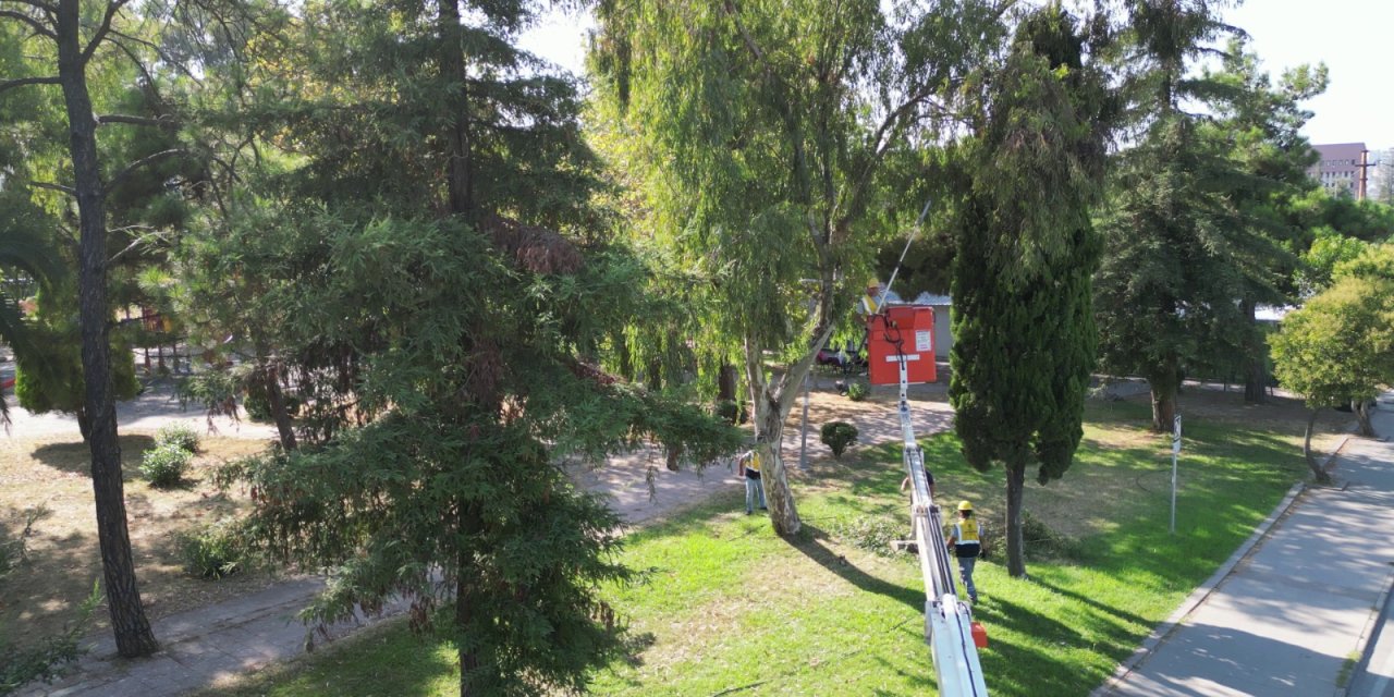 Büyükşehir’den kentin ‘ciğerlerine’ bakım