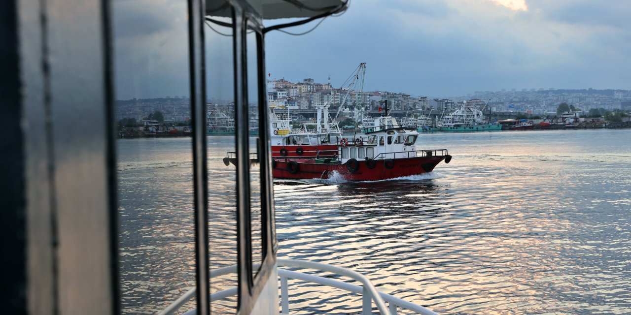 Yeni sezonda mezgit bereketi