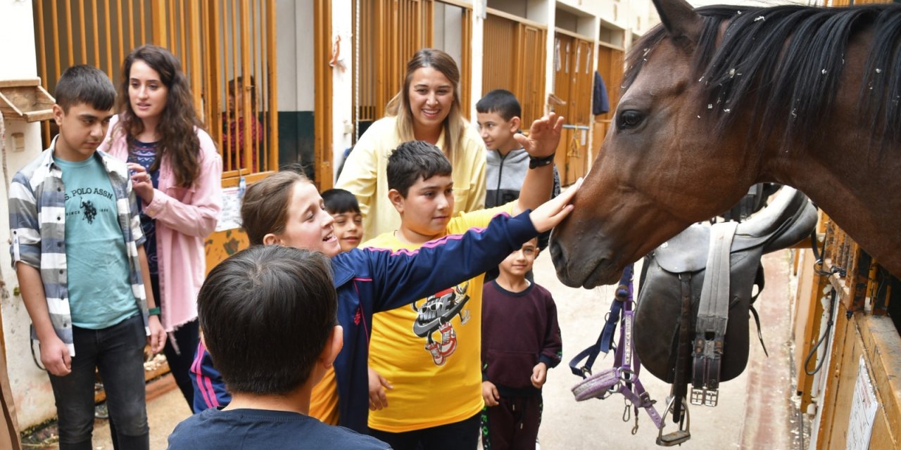 Atla terapi hizmeti yaygınlaşıyor