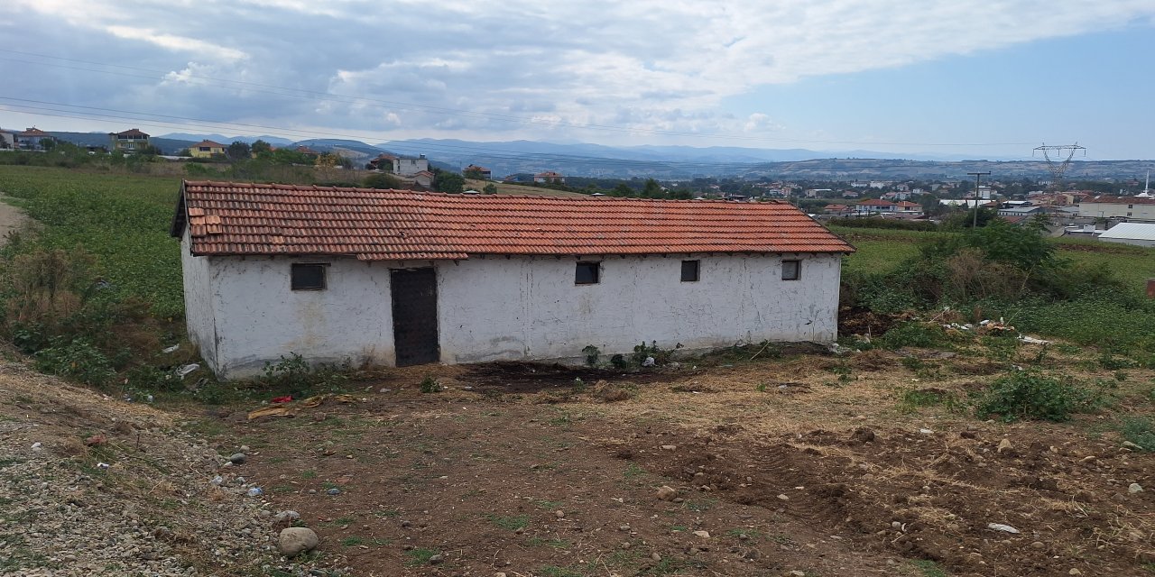 11 buzağı boğularak telef edildi