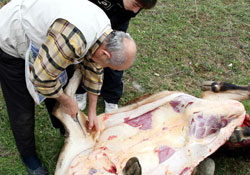 Sağlığınız için hayvansal gıda tüketin