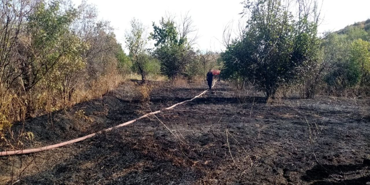 Yangında 2 dekar ceviz bahçesi zarar gördü