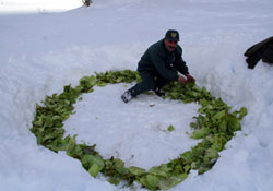 Yem takviyesi yapılacak