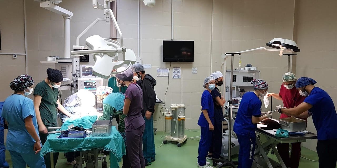Karadeniz Bölgesi'ne hizmet veriyor