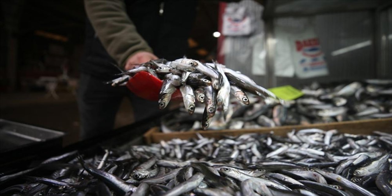 Samsun'da tezgahlarında balık fiyatları
