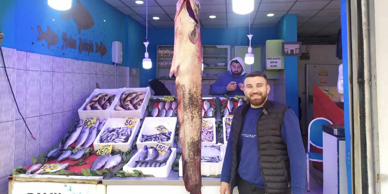Samsun'da 33 kilogramlık yayın balığı yakalandı