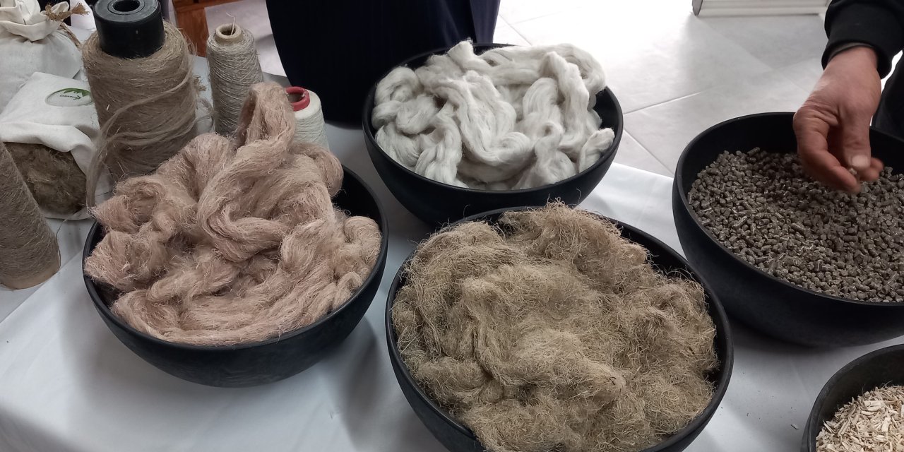 Kenevir işleyecek fabrika tanıtıldı