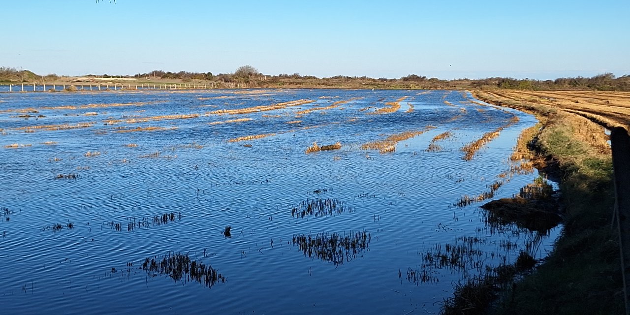 Bazı tarım alanları sular altında kaldı
