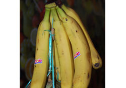 Durgunluk yaşanıyor