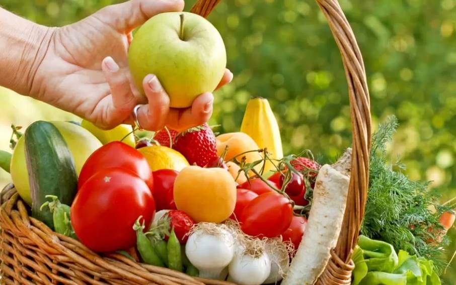 Sağlığınız İçin Doğal Seçim Organik Tarım Gıda