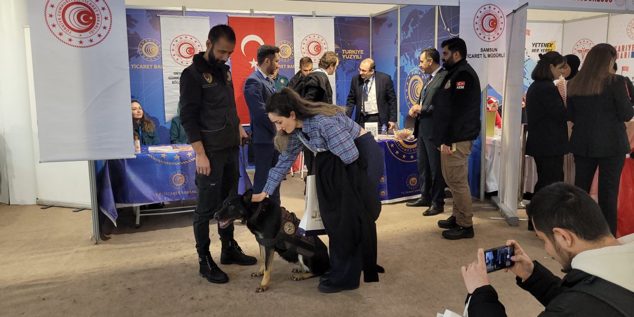 Narkotik dedektör köpeği 'Bogar' ilgi odağı oldu