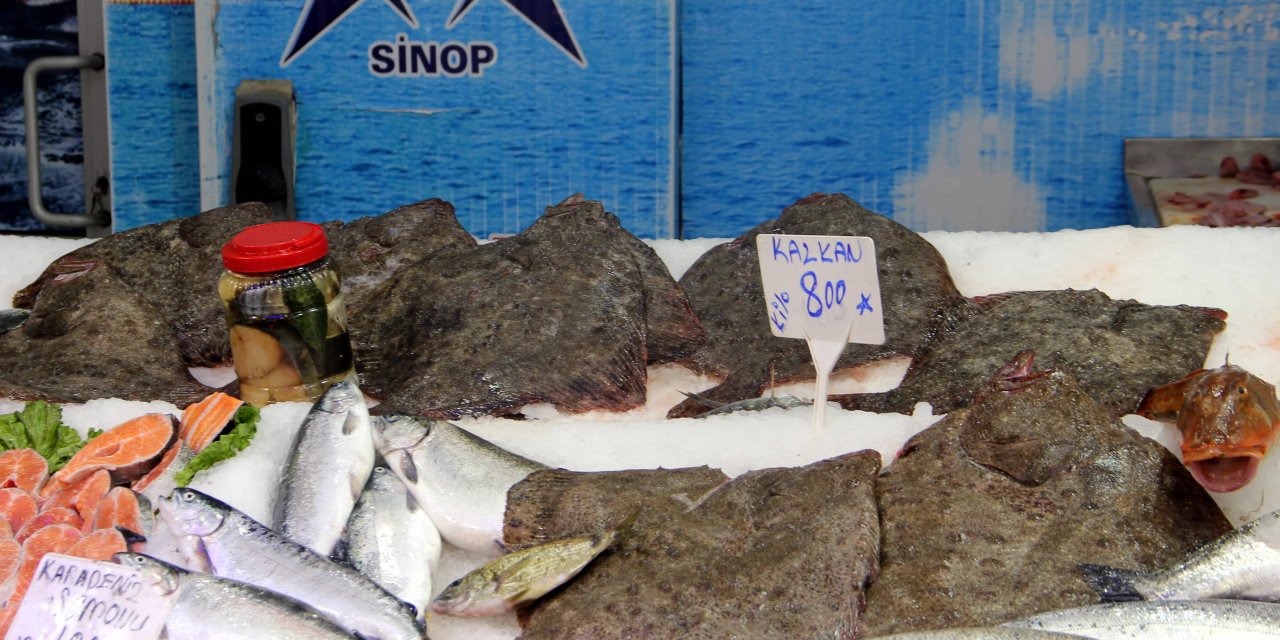 Kalkan balığı kilosu 800 liradan satılıyor