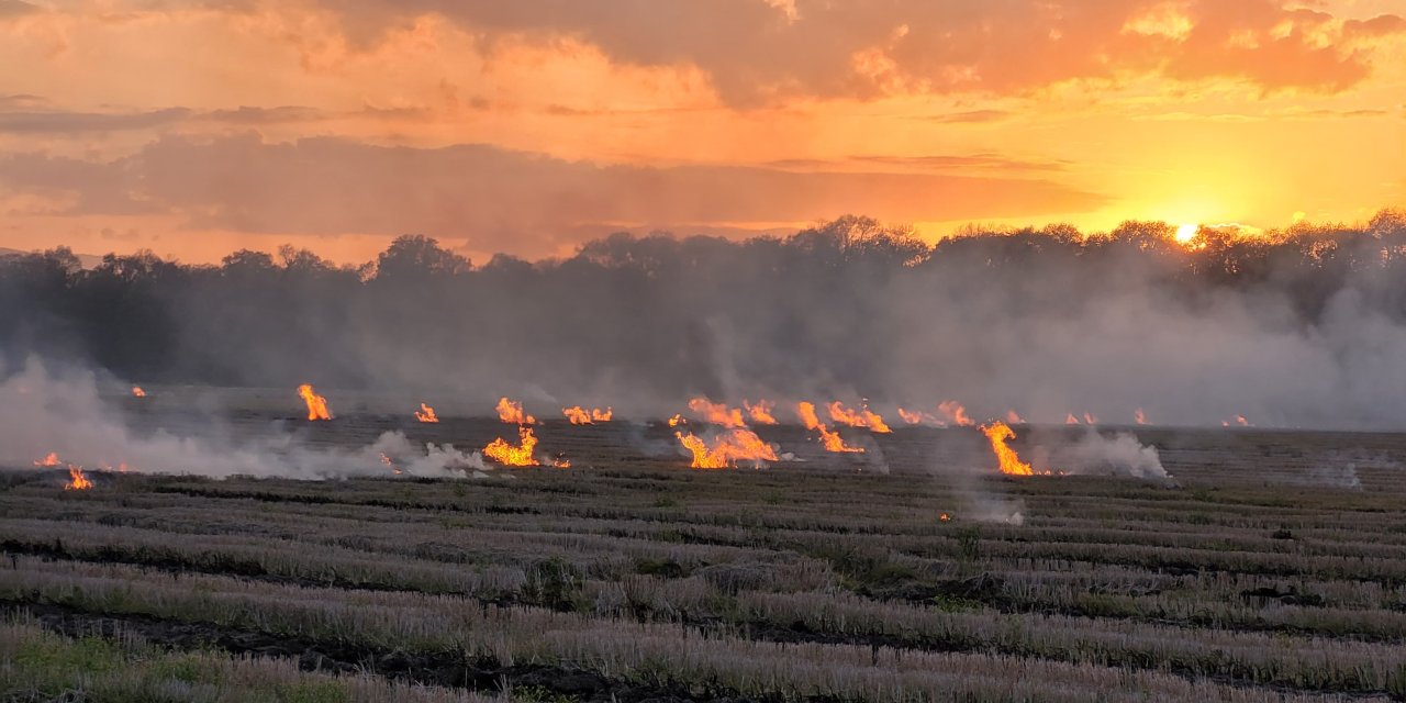 Tarım arazisinde çıkan yangın söndürüldü